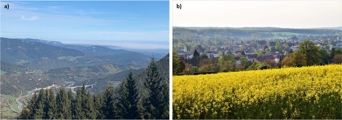 Effects of extreme events on land-use-related decisions of farmers in Eastern Austria: the role of learning