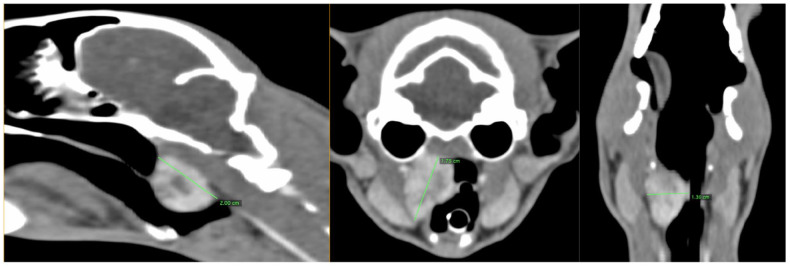 Primary retropharyngeal leiomyosarcoma in a young cat.