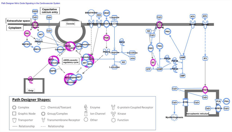 SARS-CoV-2 Covid-19 Infection During Pregnancy and Differential DNA Methylation in Human Cord Blood Cells From Term Neonates.