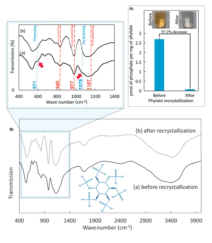 Phytate-Induced Dose-Response Auto-Activation of Enzyme in Commercial Recombinant Phytase From <i>Escherichia coli</i>.