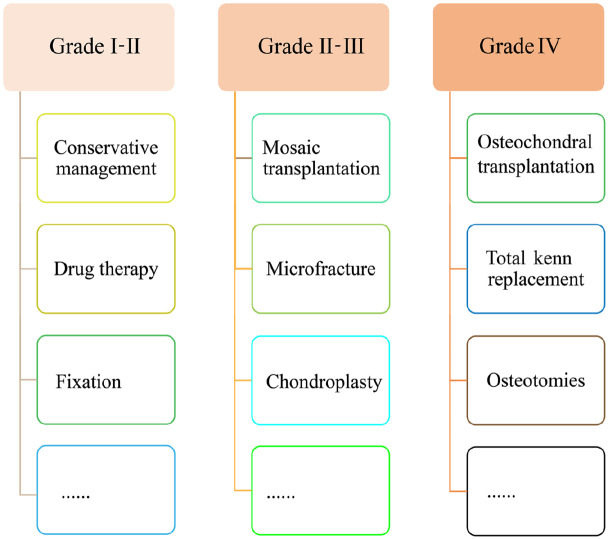 Regeneration of articular cartilage defects: Therapeutic strategies and perspectives.