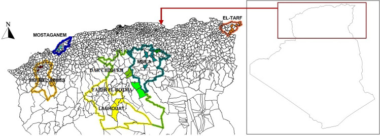 Assessment of genetic diversity among native Algerian rabbit populations using microsatellite markers.