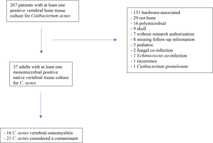 <i>Cutibacterium acnes</i> in spine tissue: characteristics and outcomes of non-hardware-associated vertebral osteomyelitis.