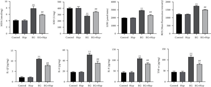 Hyperoside Ameliorates Renal Tubular Oxidative Damage and Calcium Oxalate Deposition in Rats through AMPK/Nrf2 Signaling Axis.