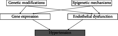 Summary of Known Genetic and Epigenetic Modification Contributed to Hypertension.