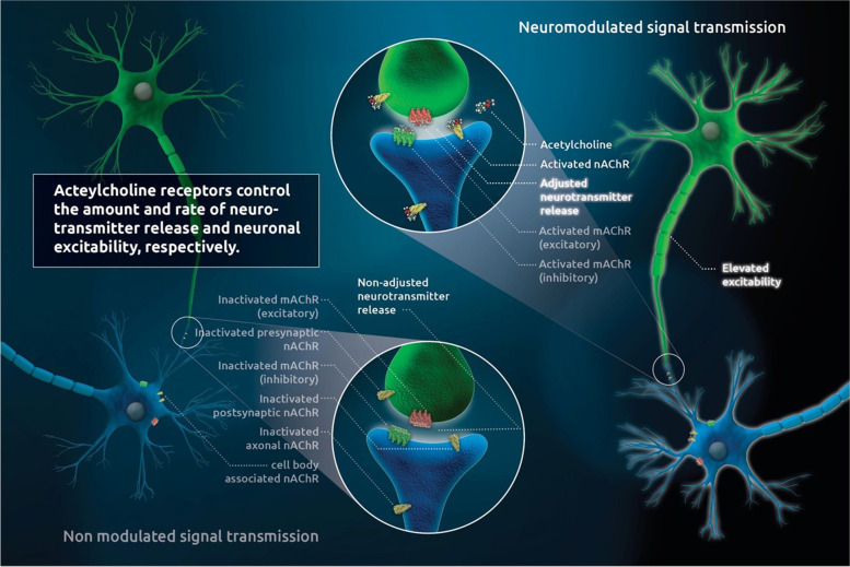 Is the post-COVID-19 syndrome a severe impairment of acetylcholine-orchestrated neuromodulation that responds to nicotine administration?