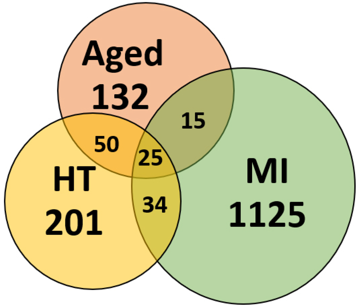 Protein homeostasis in the aged and diseased heart.