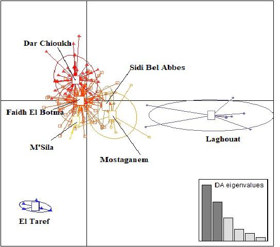 Assessment of genetic diversity among native Algerian rabbit populations using microsatellite markers.