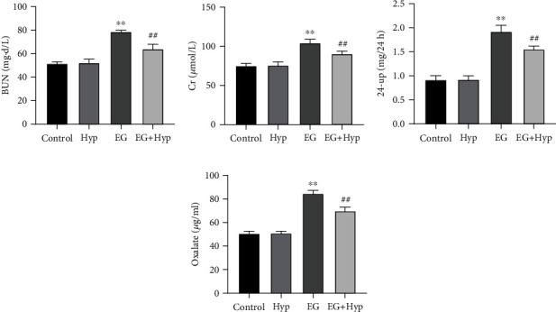 Hyperoside Ameliorates Renal Tubular Oxidative Damage and Calcium Oxalate Deposition in Rats through AMPK/Nrf2 Signaling Axis.