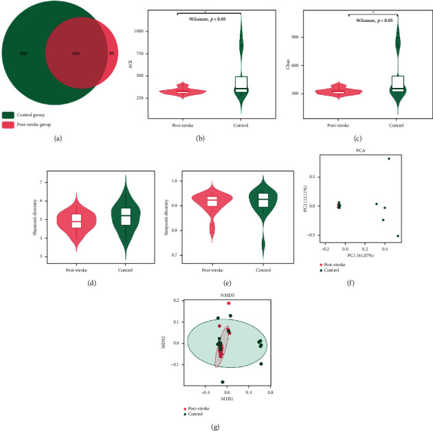 Imbalance of Microbacterial Diversity Is Associated with Functional Prognosis of Stroke.