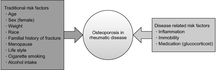 Positive Effects of Biologics on Osteoporosis in Rheumatoid Arthritis.