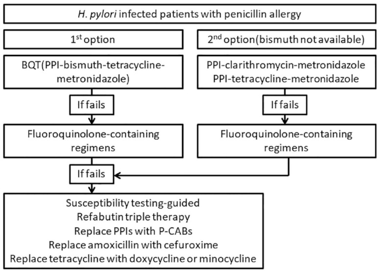 Rescue therapy for refractory <i>Helicobacter pylori</i> infection: current status and future concepts.