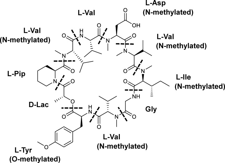 Discovery of a gene cluster for the biosynthesis of novel cyclic peptide compound, KK-1, in <i>Curvularia clavata</i>.