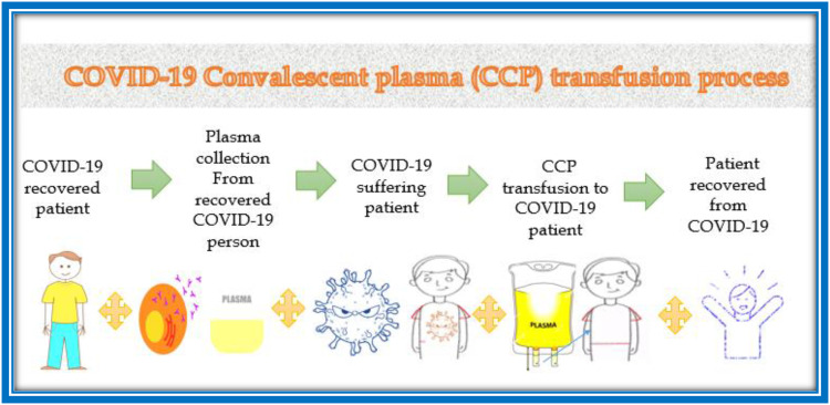 Effectiveness of COVID-19 Convalescent Plasma (CCP) During the Pandemic Era: A Literature Review.