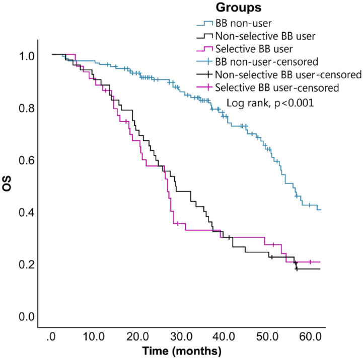 Survival outcomes of beta-blocker usage in HER2-positive advanced breast cancer patients: a retrospective cohort study.