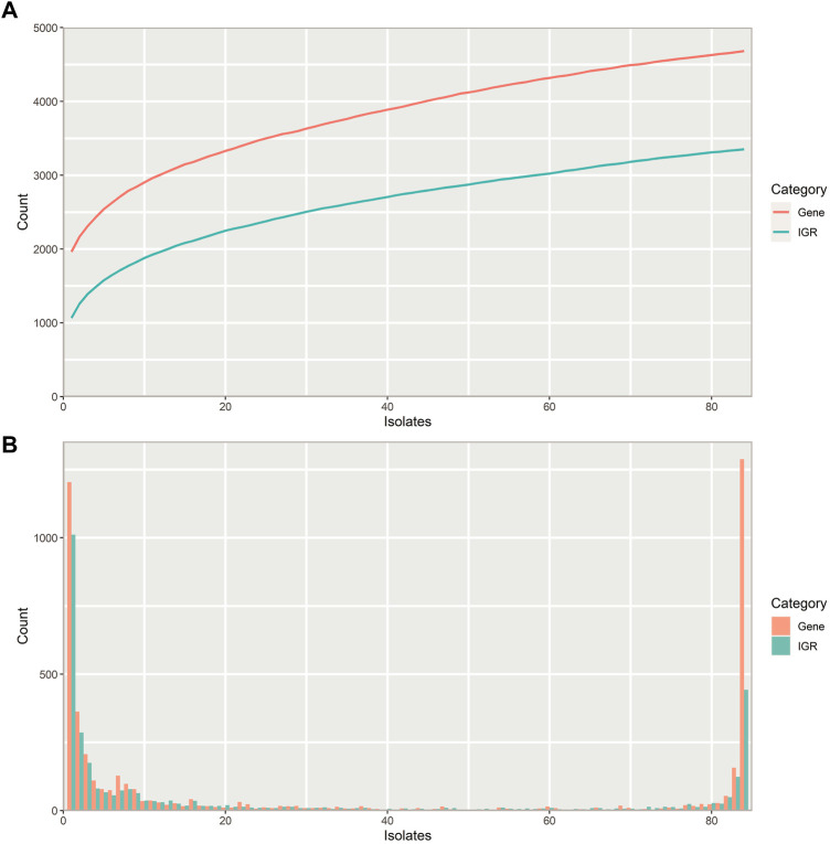 Adding context to the pneumococcal core genes using bioinformatic analysis of the intergenic pangenome of <i>Streptococcus pneumoniae</i>.