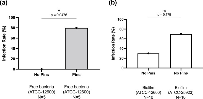 Murine models of orthopedic infection featuring <i>Staphylococcus</i> <i>aureus</i> biofilm.