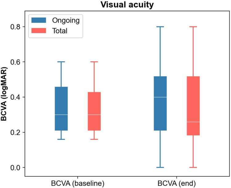 Brolucizumab for Neovascular Age-Related Macular Degeneration (BEL Study).