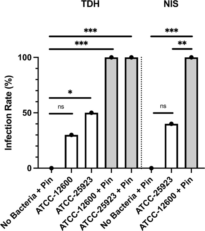 Murine models of orthopedic infection featuring <i>Staphylococcus</i> <i>aureus</i> biofilm.