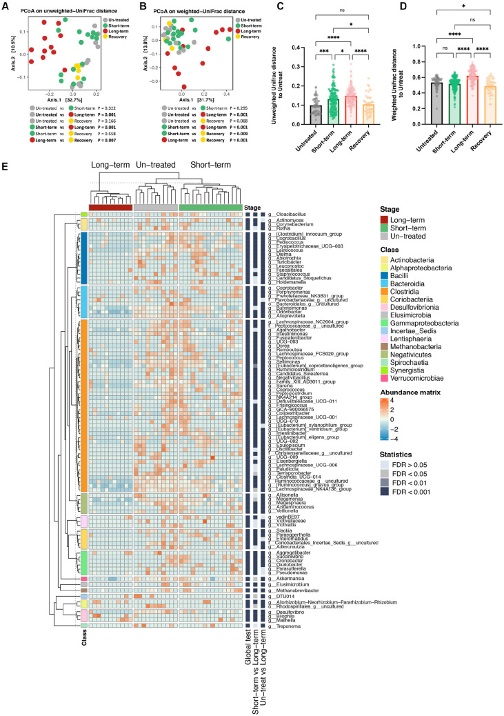 The Alteration of Akkermansiaceae/Lachnospiraceae Ratio Is a Microbial Feature of Antibiotic-Induced Microbiota Remodeling.