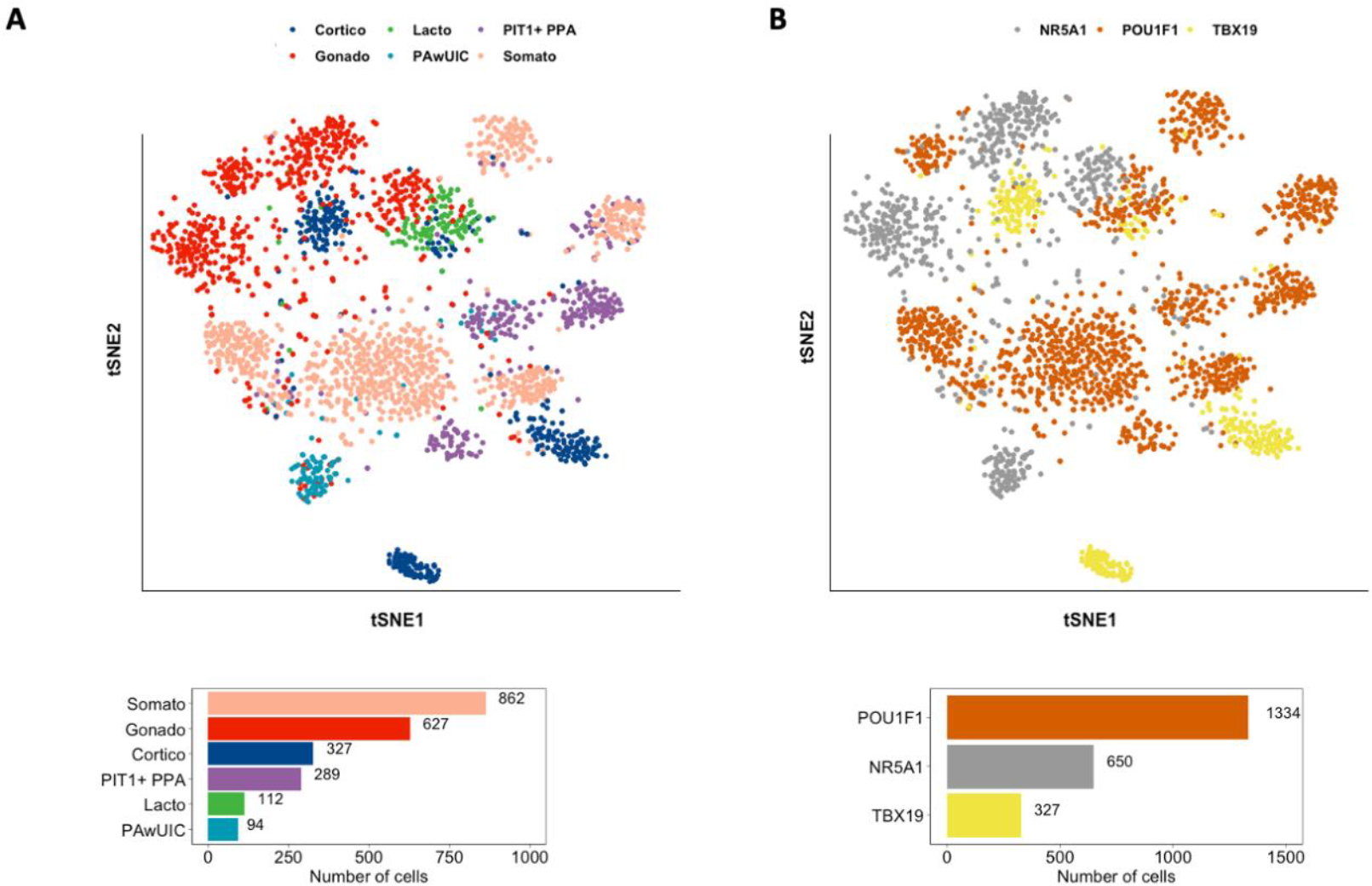 Single Cell Metabolic Landscape of Pituitary Neuroendocrine Tumor Subgroups and Lineages.