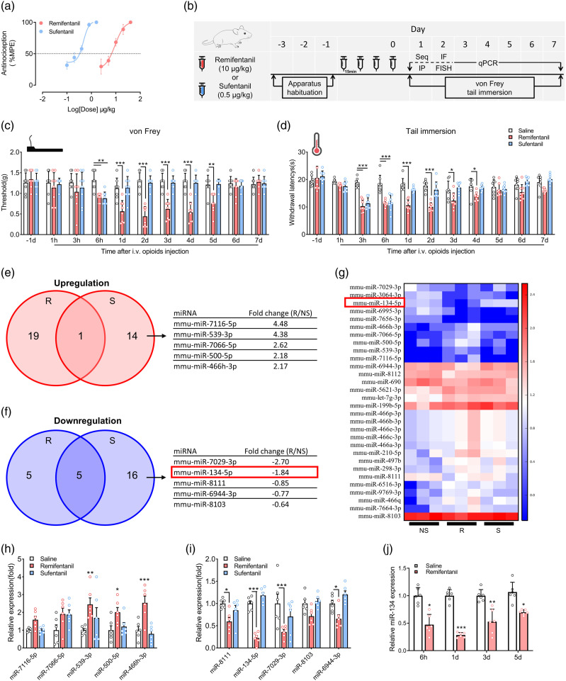 Spinal microRNA-134-5p targets glutamate receptor ionotropic kainate 3 to modulate opioid induced hyperalgesia in mice.