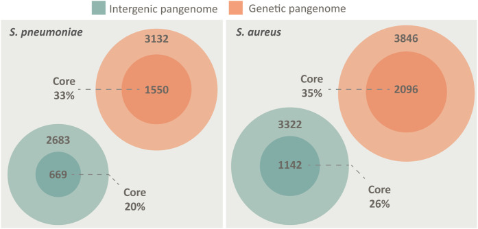 Adding context to the pneumococcal core genes using bioinformatic analysis of the intergenic pangenome of <i>Streptococcus pneumoniae</i>.