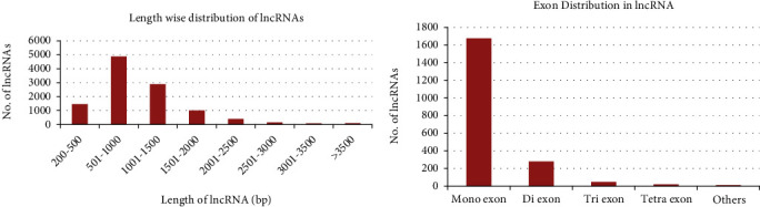 Regulatory Networks of lncRNAs, miRNAs, and mRNAs in Response to Heat Stress in Wheat (<i>Triticum Aestivum</i> L.): An Integrated Analysis.