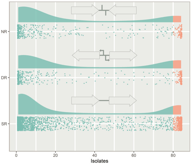 Adding context to the pneumococcal core genes using bioinformatic analysis of the intergenic pangenome of <i>Streptococcus pneumoniae</i>.