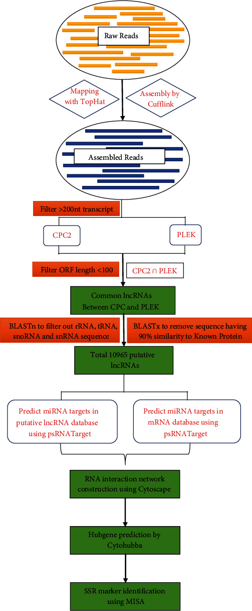 Regulatory Networks of lncRNAs, miRNAs, and mRNAs in Response to Heat Stress in Wheat (<i>Triticum Aestivum</i> L.): An Integrated Analysis.