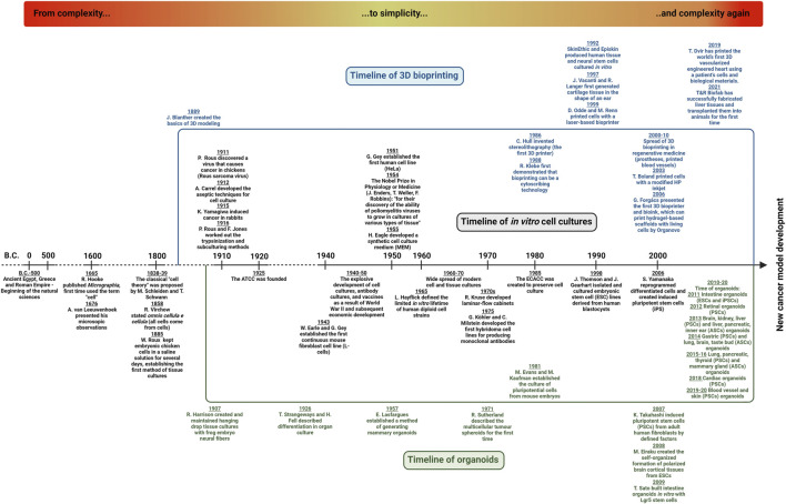 3D bioprinting and the revolution in experimental cancer model systems-A review of developing new models and experiences with <i>in vitro</i> 3D bioprinted breast cancer tissue-mimetic structures.