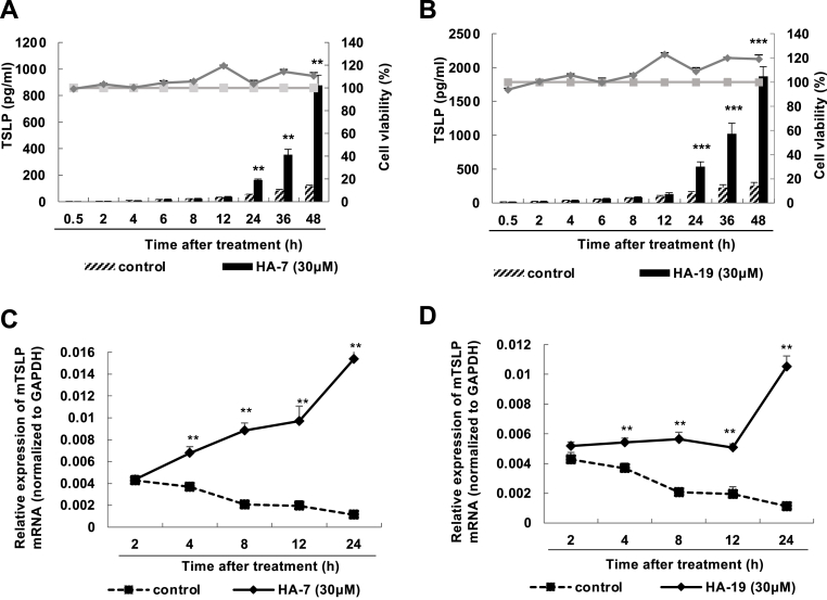 Selective induction of thymic stromal lymphopoietin expression by novel nitrogen-containing steroid compounds in PAM-212 cells