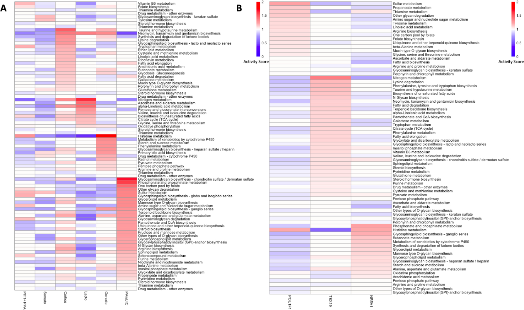 Single Cell Metabolic Landscape of Pituitary Neuroendocrine Tumor Subgroups and Lineages.