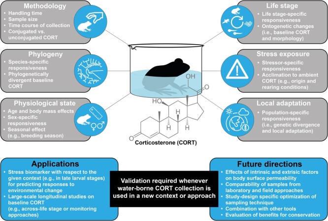 Exploring water-borne corticosterone collection as a non-invasive tool in amphibian conservation physiology: benefits, limitations and future perspectives.