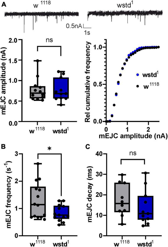 Triose-phosphate isomerase deficiency is associated with a dysregulation of synaptic vesicle recycling in <i>Drosophila melanogaster</i>.