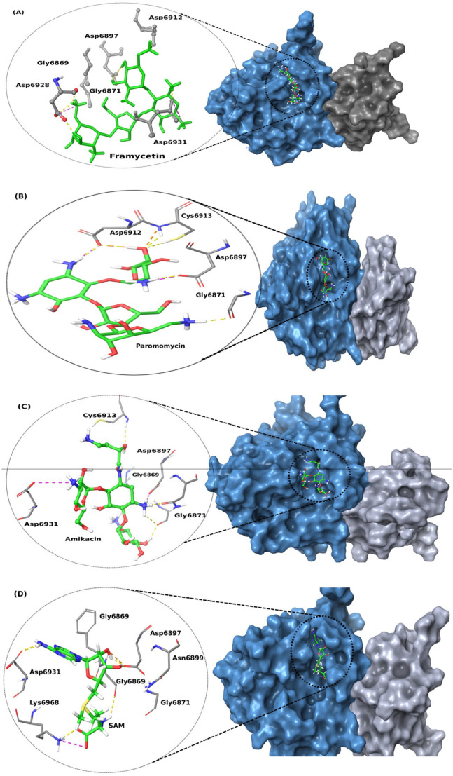 Structural-Based Virtual Screening of FDA-Approved Drugs Repository for NSP16 Inhibitors, Essential for SARS-COV-2 Invasion Into Host Cells: Elucidation From MM/PBSA Calculation.