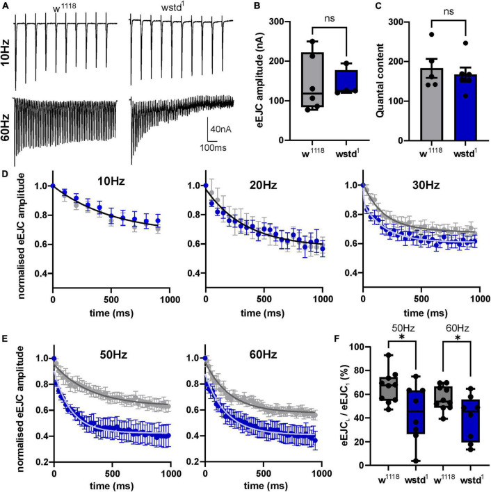 Triose-phosphate isomerase deficiency is associated with a dysregulation of synaptic vesicle recycling in <i>Drosophila melanogaster</i>.