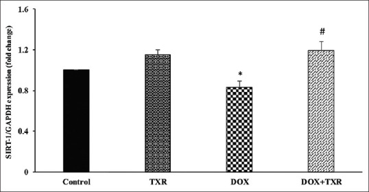 Effect of troxerutin on the expression of genes regulating mitochondrial biogenesis and microRNA-140 in doxorubicin-induced testicular toxicity.