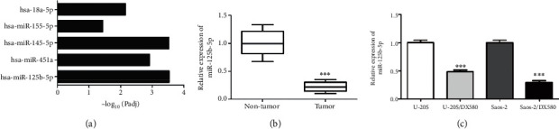 MiR-125b-5p/STAT3 Axis Regulates Drug Resistance in Osteosarcoma Cells by Acting on ABC Transporters.