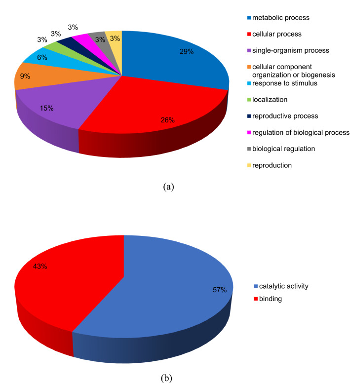 Peroxisomal KAT2 (3-ketoacyl-CoA thiolase 2) gene has a key role in gingerol biosynthesis in ginger (<i>Zingiber officinale</i> Rosc.).