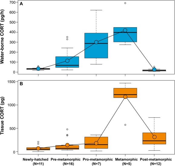 Exploring water-borne corticosterone collection as a non-invasive tool in amphibian conservation physiology: benefits, limitations and future perspectives.