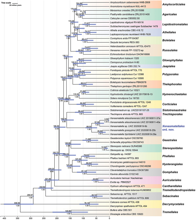 <i>Xenasmatellales</i> ord. nov. and <i>Xenasmatellaceae</i> fam. nov. for <i>Xenasmatella</i> (<i>Agaricomycetes, Basidiomycota</i>).