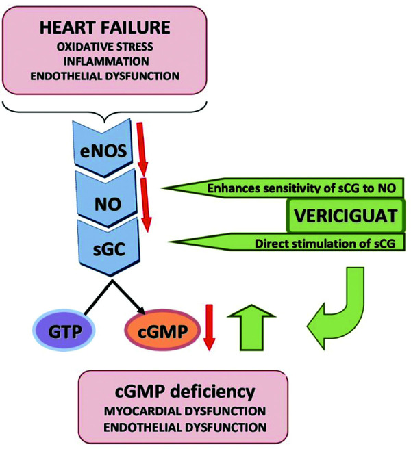 Emerging concepts in heart failure management and treatment: focus on vericiguat.