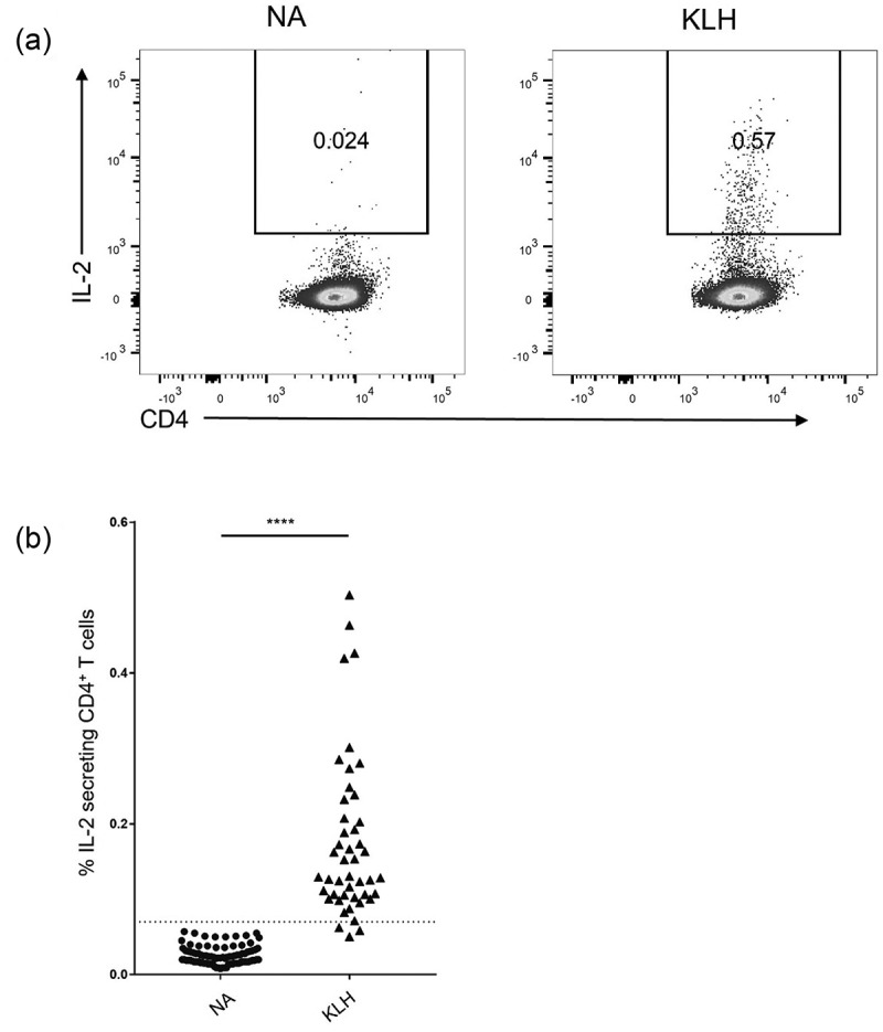 Rapid <i>in vitro</i> assessment of the immunogenicity potential of engineered antibody therapeutics through detection of CD4<sup>+</sup> T cell interleukin-2 secretion.