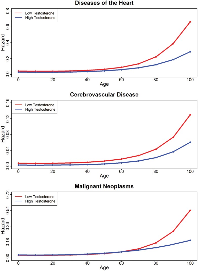 Lower testosterone levels are associated with higher risk of death in men.