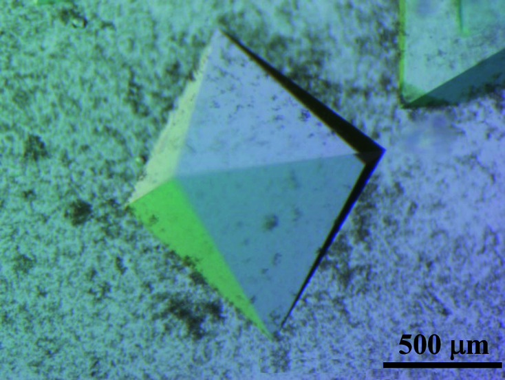 Joint X-ray/neutron structure of Lentinus similis AA9_A at room temperature.