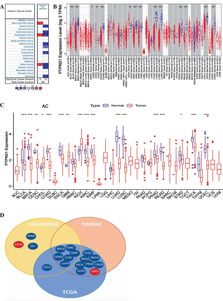 Prognostic value and immunological role of PTPN21 in pan-cancer analysis.