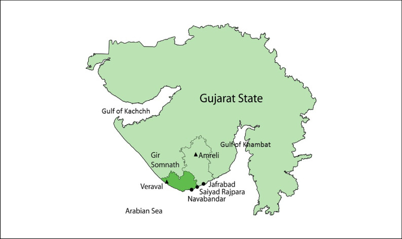 A social wellbeing approach to the gendered impacts of fisheries transition in Gujarat, India.