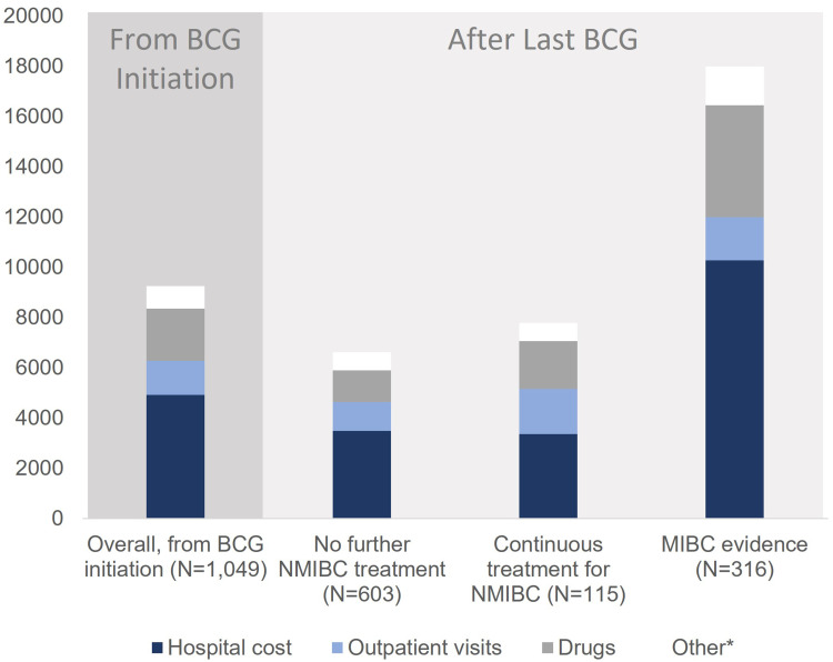 Healthcare Resource Utilization and Cost Burden of BCG-Treated Non-Muscle Invasive Bladder Cancer Patients in Germany: A Retrospective Claims Analysis.