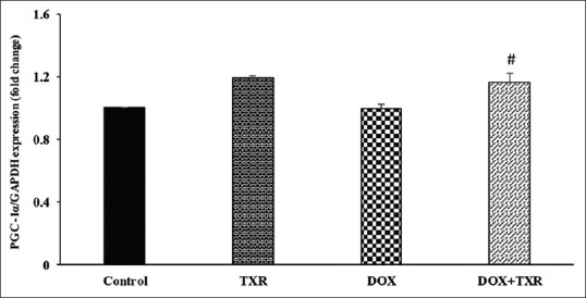 Effect of troxerutin on the expression of genes regulating mitochondrial biogenesis and microRNA-140 in doxorubicin-induced testicular toxicity.